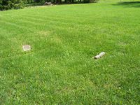 Carr Road Cemetery