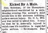 George Holeman's Mule Accident Feb 21 1907