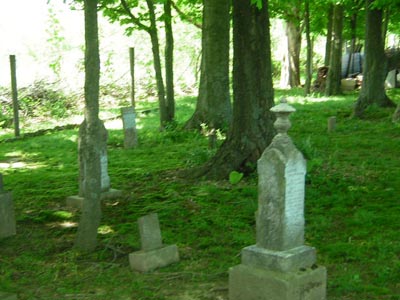 Fish-Watson cemetery photo