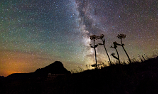 Plants and mountain silhouetted against Milky Way and starry night sky